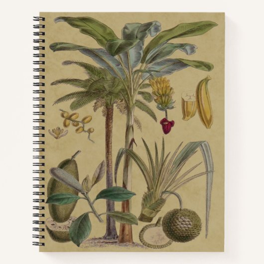 Palm Antiek tropische vruchten botanische kunst Notitieboek (Voorkant)
