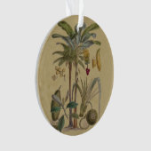 Palm Antiek tropische vruchten botanische kunst Ornament (voorkant)