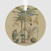 Palm Antiek tropische vruchten botanische kunst Ornament (achterkant)