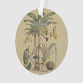 Palm Antiek tropische vruchten botanische kunst Ornament (voorkant)