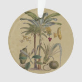 Palm Antiek tropische vruchten botanische kunst Ornament (voorkant)