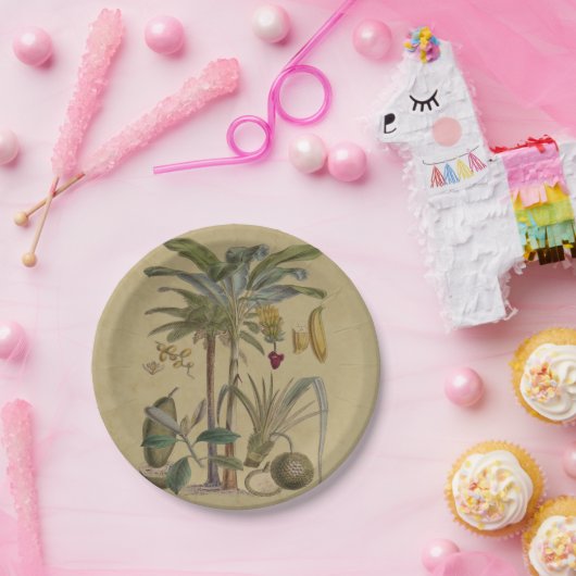 Palm Antiek tropische vruchten botanische kunst Papieren Bordje (Feest)