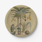 Palm Antiek tropische vruchten botanische kunst Papieren Bordje (Voorkant)