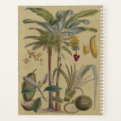 Palm Antiek tropische vruchten botanische kunst Planner (Achterkant)