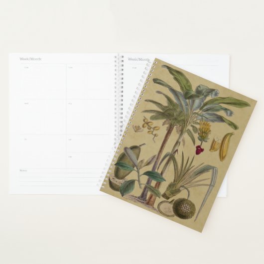Palm Antiek tropische vruchten botanische kunst Planner (Display)