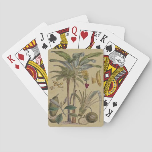 Palm Antiek tropische vruchten botanische kunst Pokerkaarten (Achterkant)