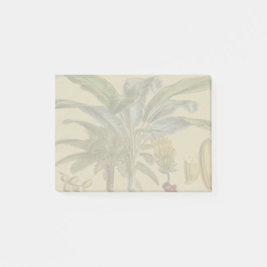 Palm Antiek tropische vruchten botanische kunst Post-it® Notes (Voorkant)