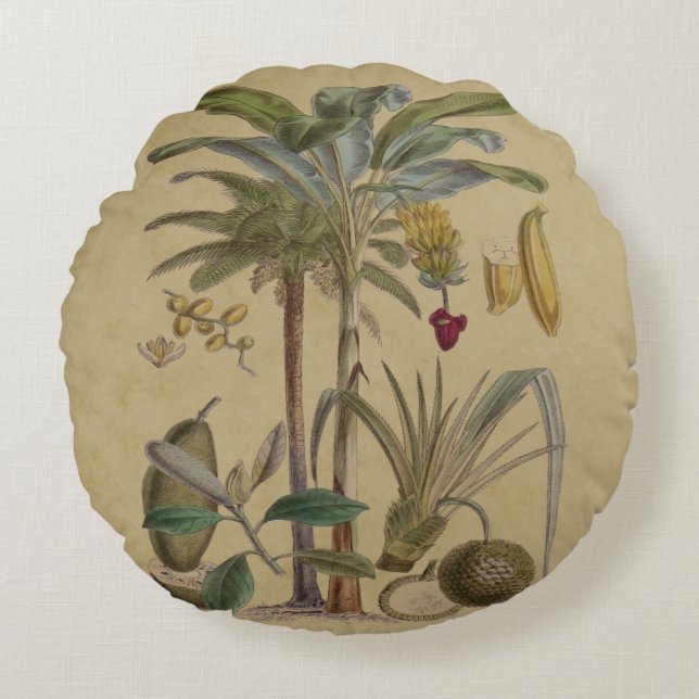Palm Antiek tropische vruchten botanische kunst Rond Kussen (Voorkant)