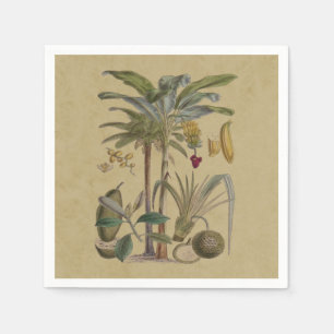 Palm Antiek tropische vruchten botanische kunst Servet