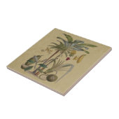 Palm Antiek tropische vruchten botanische kunst Tegeltje (Zijkant)