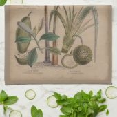 Palm Antiek tropische vruchten botanische kunst Theedoek (Gevouwen)