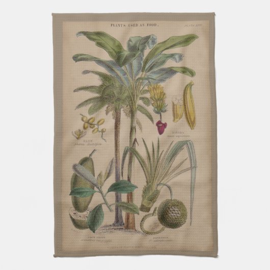 Palm Antiek tropische vruchten botanische kunst Theedoek (Verticaal)