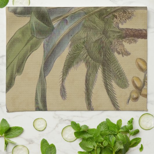 Palm Antiek tropische vruchten botanische kunst Theedoek (Gevouwen)