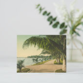Palm Beach 1898  Florida scene Briefkaart (Staand voorkant)