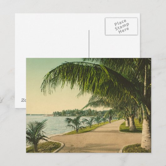 Palm Beach 1898  Florida scene Briefkaart (Voorkant / Achterkant)