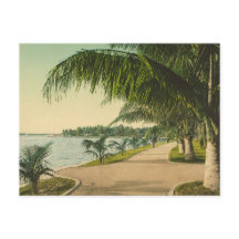 Palm Beach 1898  Florida scene