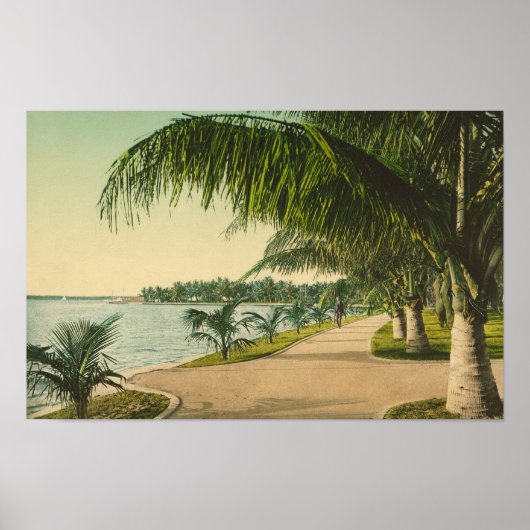Palm Beach 1898 vintage Florida scène Poster (Voorkant)