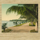 Palm Beach 1898 vintage Florida scène Poster