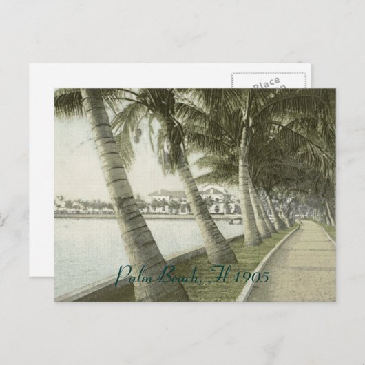 Palm Beach 1905 Briefkaart (Voorkant / Achterkant)