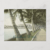 Palm Beach 1905 Briefkaart (Voorkant)