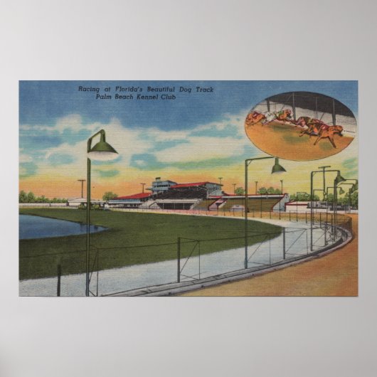 Palm Beach, FL - Kennel Club, Dog Racing Track Poster (Voorkant)