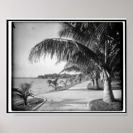 Palm Beach, Florida c1894  Poster (Voorkant)