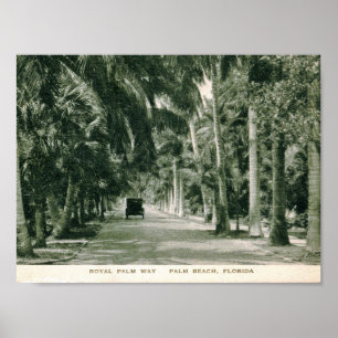 Palm Beach, Florida, Royal Palm Way  Poster