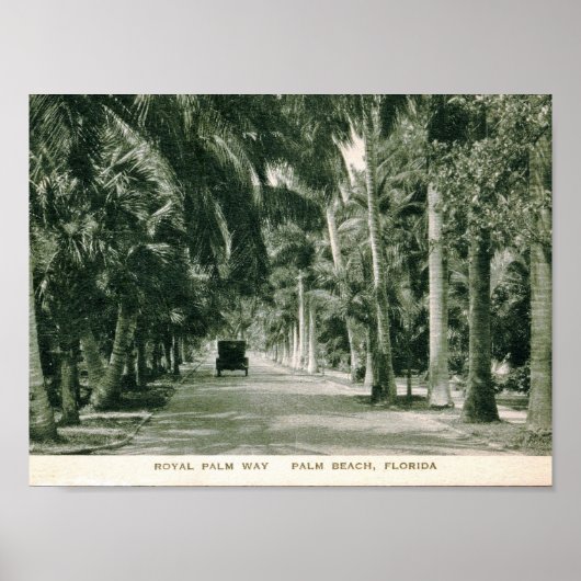 Palm Beach, Florida, Royal Palm Way  Poster (Voorkant)