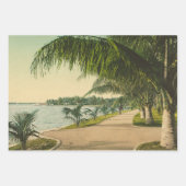 Palm Beach Florida vintage 1898 Inpakpapier Vel (Voorkant 2)