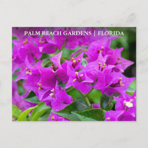 Palm Beach Gardens Florida Floral Travel Briefkaart