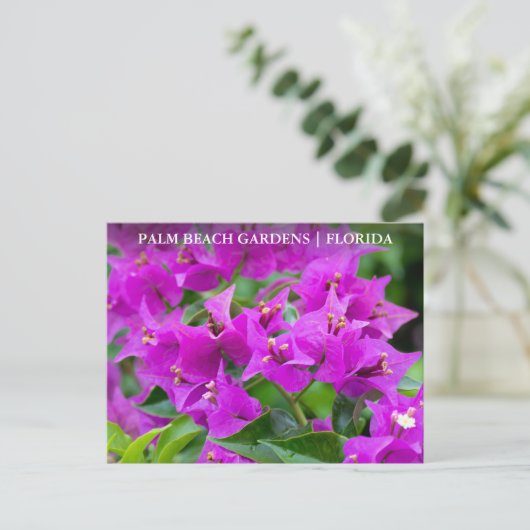 Palm Beach Gardens Florida Floral Travel Briefkaart (Staand voorkant)