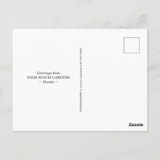 Palm Beach Gardens Florida Floral Travel Briefkaart (Achterkant)
