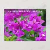Palm Beach Gardens Florida Floral Travel Briefkaart (Voorkant)