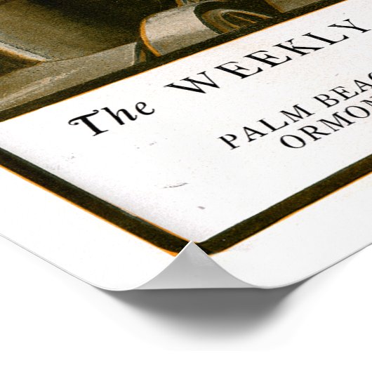 Palm Beach Life #17 print (Hoek)