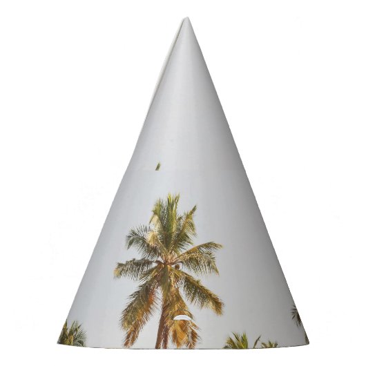 Palm Beach Schilderachtig Uitzicht Feesthoedjes (Links)