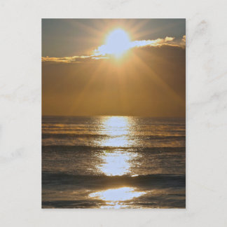 Palm Beach sunrise Briefkaart