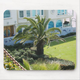 Palm bij Oceanside CA Muismat