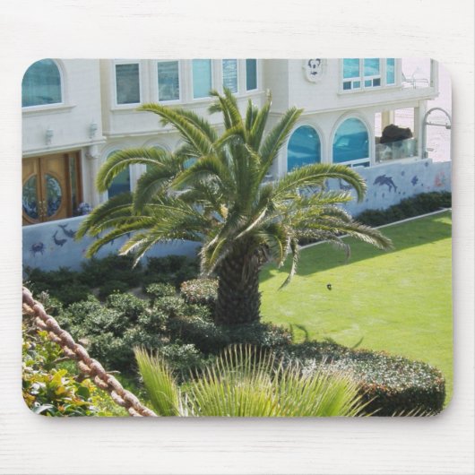 Palm bij Oceanside CA Muismat (Voorkant)