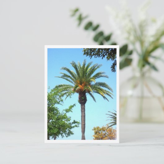 Palm Briefkaart (Staand voorkant)