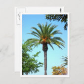 Palm Briefkaart (Voorkant / Achterkant)