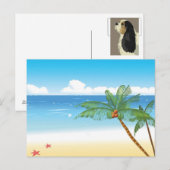 palm briefkaart (Voorkant / Achterkant)