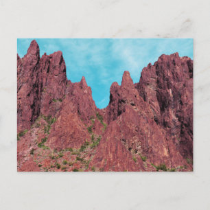 Palm Canyon Arizona Briefkaart