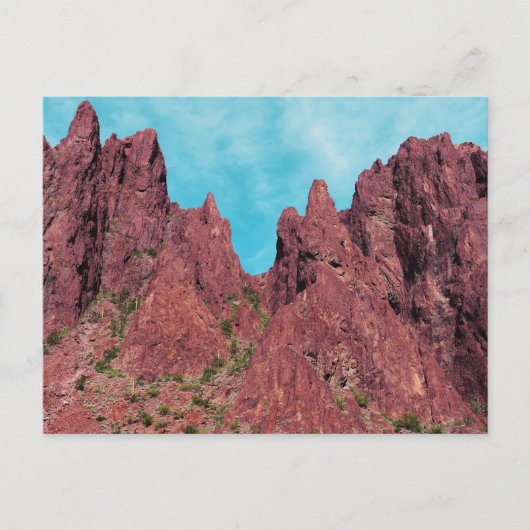 Palm Canyon Arizona Briefkaart (Voorkant)