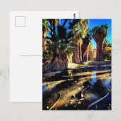 Palm Canyon Californië Briefkaart (Voorkant / Achterkant)
