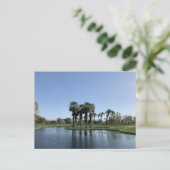 PALM DESERT #1 BRIEFKAART (Staand voorkant)