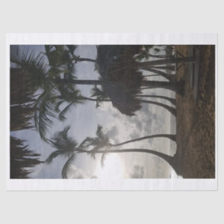 Palm en Beach 2 tissuepapier