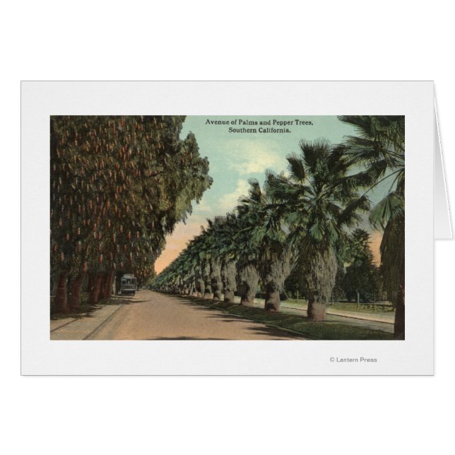 Palm en Pepper Trees naast Avenue (Voorkant Horizontaal)
