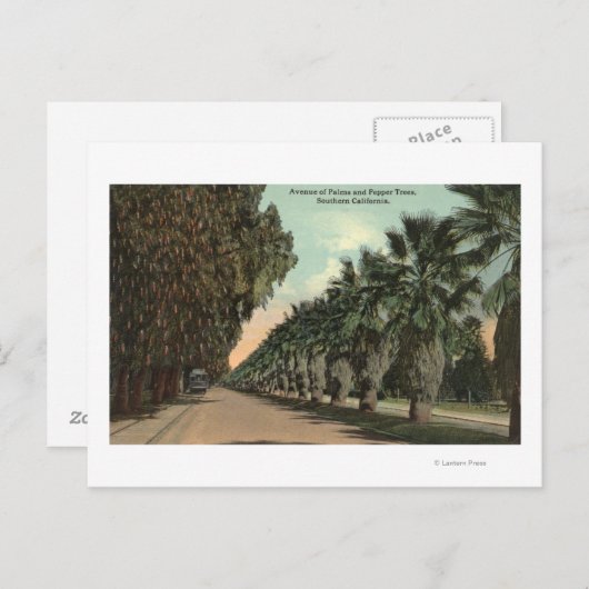 Palm en Pepper Trees naast Avenue Briefkaart (Voorkant / Achterkant)