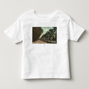 Palm en Pepper Trees naast Avenue Kinder Shirts