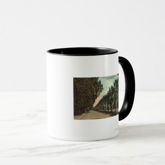 Palm en Pepper Trees naast Avenue Mok (Voorkant rechts)